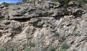 Tour Wandern Minerve - Gorges de Minerve  - Photo 14