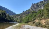 Tour Kanufahren - Kajakfahren Gorges du Tarn Causses - GR60 jour 8 Les Vignes - Photo 6