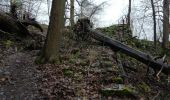 Excursión Senderismo Dinant - Lesse toi surprendre (Dinant)  - Photo 10