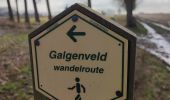 Trail Walking Ninove - Galgenveld - Photo 8