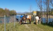 Trail Horseback riding Aoste - st didier st genix champagneux breigner  - Photo 1