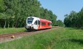 Randonnée A pied Oost Gelre - De Kuitenbijter Route B - Photo 10