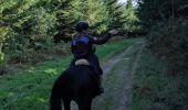 Tocht Paardrijden Arfons - cheval alex - Photo 1