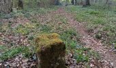 Trail Walking Musson - A la frontière  - Photo 1