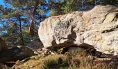 Randonnée Marche Fontainebleau - T1-Grotte Beatrix  - Photo 11