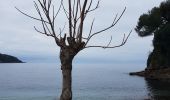 Tour Wandern Roquebrune-Cap-Martin - Roquebrune-Menton 01 2022 - Photo 15