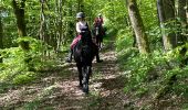 Trail Horseback riding Bastogne - Luxembourg  - Photo 7