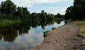 Trail Walking Balbigny - un morceau des bord de la Loire - Photo 2
