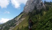 Trail Walking La Roche-sur-Foron - GLIERES / BORNES: LE CHESNET - SUR COU - COL DU FREU - Photo 11