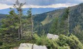 Excursión Senderismo Le Valtin - Le lac vert - Photo 18