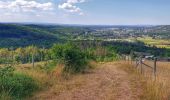 Excursión Senderismo Durbuy - Le sentier botanique du mont des Pins - Photo 6