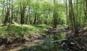 Tour Zu Fuß Blankenfelde-Mahlow - Naturlehrpfad - Photo 10