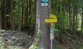 Trail On foot Gmunden - Wanderweg 21 Mitterweg - Photo 8