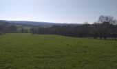 Trail Walking Fontain - fontain - fort de Fontain - forêt de Fontain - Photo 2