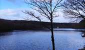 Randonnée Marche Couvin - Balade familiale autour du barrage du Ry de Rome - Photo 3