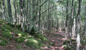 Percorso Corsa a piedi Eaux-Bonnes - GOURETTE  la cabane de Bouy  