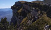 Trail Walking Saint-Pierre-de-Chartreuse - tour de la Dent de crolles par des sangles  - Photo 7