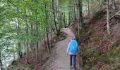 Trail Walking Gemeinde Scheffau am Wilden Kaiser - Hintersteinersee - Photo 11