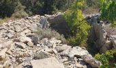 Trail Walking Cazevieille - dolmen cazevielle - Photo 2