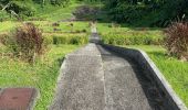 Tocht Trail Capesterre-Belle-Eau - Le barrage  - Photo 2