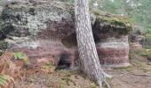 Excursión Senderismo Badonviller - Tour du lac de Pierre-Percée depuis les cabanes du lac - Photo 5