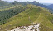 Randonnée Marche Saint-Jacques-des-Blats - Puy Griou depuis le Col de Font de Cère - Photo 9