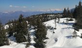 Percorso Racchette da neve Glières-Val-de-Borne - rochers de lechaux - Photo 2