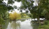 Trail Walking Bourges - Marais de Bourges 6km - Photo 2