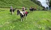Trail Horseback riding Accous - Accous-Lescun-Lhers - Photo 19