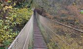 Excursión Senderismo Durbuy - De Durbuy à Palange et retour. - Photo 8