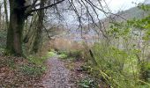 Tocht Stappen Viroinval - Nismes parcours géologique ouest 10,8 km - Photo 20