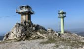 Tocht Stappen Le Revest-les-Eaux - Mont Caume V2 - Photo 6