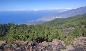 Randonnée Marche El Paso - dag 3 La Palma  - Photo 10