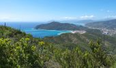 Excursión A pie Sestri Levante - Riva Trigoso - Punta Baffe - Monte Moneglia - Photo 2