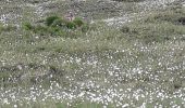 Percorso Marcia Molines-en-Queyras - col agnel - Photo 1