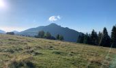 Trail Walking Mont-Saxonnex - Col de Cenise et plateau de Solaison - Photo 2