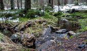 Randonnée A pied Železná Ruda - [Ž] Špičák - Čertovo jezero - Photo 8