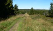 Excursión Senderismo Malmedy - Les fagnes en été - Photo 7