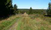 Tocht Stappen Malmedy - Les fagnes en été - Photo 7
