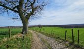 Tocht Stappen Viroinval - Balade à Le Mesnil - Viroinval - Photo 4