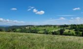 Tour Wandern Grazac - Grazac la passerelle  - Photo 2