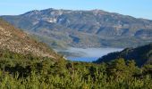 Trail Walking Castellane - Castellane - Chapelle St Thyrs - Petit Robion - Sommet Robion - Gorges du Rayaup - Photo 4