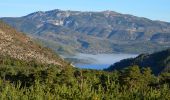 Randonnée Marche Castellane - Castellane - Chapelle St Thyrs - Petit Robion - Sommet Robion - Gorges du Rayaup - Photo 4