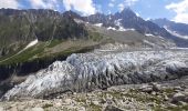 Excursión Senderismo Chamonix-Mont-Blanc - Argentieres, plan Joran,glacier,croix Lognan,les tines - Photo 4