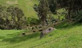 Tocht Stappen Ingapirca - Cara del Inca - Photo 4