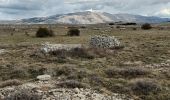 Tour Wandern Caussols - Sommet de Calern + Bories-17-04-23 - Photo 10