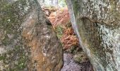 Trail Walking Fontainebleau - Fontainebleau - Sentier des carriers - Photo 16