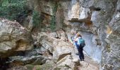 Excursión Senderismo Ollioules - 2021 10 20 les gorges de la Destel - Photo 8