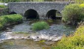 Tocht Stappen Daverdisse - Gembres 27,2 km - Photo 1