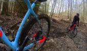 Randonnée V.T.T. La Roche-en-Ardenne - VTT autour des villages de la Roche en Ardenne - Photo 9